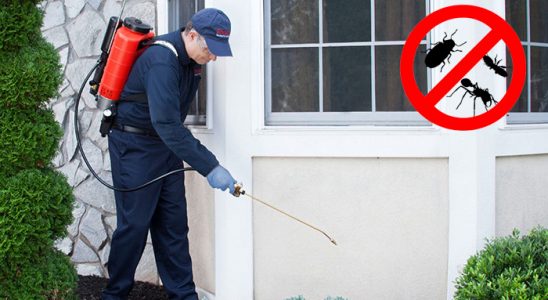 Safranbolu Gümüşkurt İlaçlama böcek ilaçlama ve haşere kontrolü — ilaclama-tr.com